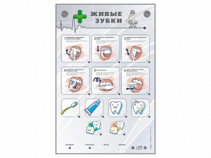 Интерактивный стенд "Живые зубки" - fgospostavki.ru - Ейск