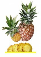 Комплект карточек "Запоминай, играй, считай" - Фрукты - fgospostavki.ru - Ейск