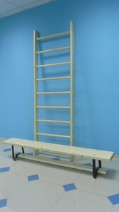 Стенка гимнастическая шведская премиум (1000х3200 мм) - fgospostavki.ru - Ейск