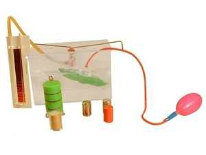 Лабораторный набор "Гидростатика, плавание тел" - fgospostavki.ru - Ейск