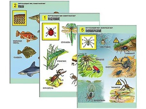 Комплект таблиц "Окружающий мир. Животный мир" (8 таблиц, А1, ламинированные) - fgospostavki.ru - Ейск