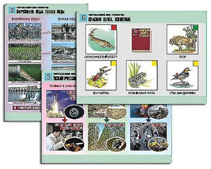 Комплект таблиц "Окружающий мир. Экология" (6 таблиц, А1, ламинированные) - fgospostavki.ru - Ейск