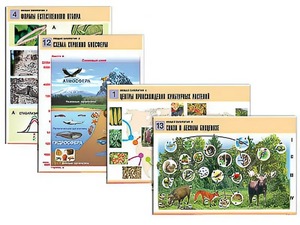 Комплект таблиц по биологии демонстрационных "Общая биология 2" (14 таблиц, формат А1, ламинированные) - fgospostavki.ru - Ейск