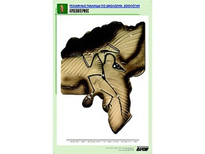 Рельефная таблица "Археоптерикс" (формат А1, матовое ламинирование) - fgospostavki.ru - Ейск