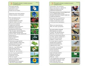 Комплект карточек (10) "Обучающий калейдоскоп. Природа" - fgospostavki.ru - Ейск