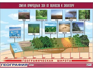 Таблица демонстрационная "Смена природных зон от полюсов к экватору" (винил 100*140) - fgospostavki.ru - Ейск