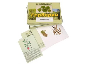 Гербарий "Для начальной школы" (30 видов, с иллюстрациями) - fgospostavki.ru - Ейск