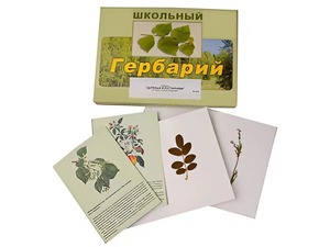 Гербарий "Деревья и кустарники" (22 вида, с иллюстрациями) - fgospostavki.ru - Ейск