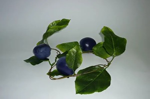 Ветка муляжей "Слива" - fgospostavki.ru - Ейск