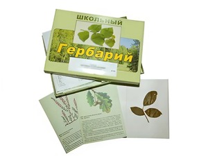 Гербарий "Дикорастущие растения" (30 видов, с иллюстрациями) - fgospostavki.ru - Ейск