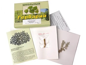 Гербарий "Водоросли. Грибы. Лишайники" (раздаточный) - fgospostavki.ru - Ейск