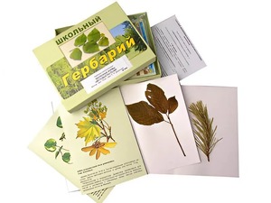 Гербарий "Жизненные формы цветковых растений" (раздаточный) - fgospostavki.ru - Ейск