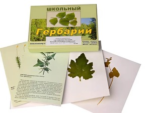 Гербарий "Систематика растений. Высшие споровые и семенные" (раздаточный) - fgospostavki.ru - Ейск