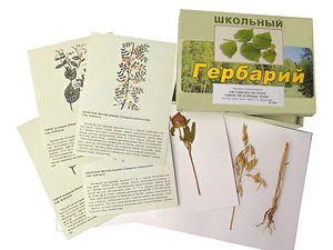 Гербарий "Систематика растений. Семейство Бобовые. Злаки" (раздаточный) - fgospostavki.ru - Ейск
