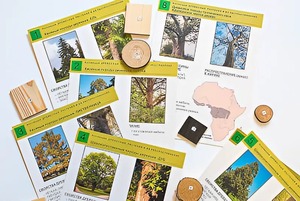 Коллекция "Древесные растения и их распространение" (демонстрационная) - fgospostavki.ru - Ейск