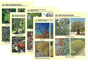 Гербарий фотографический по географии - fgospostavki.ru - Ейск