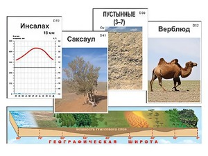 Модель-аппликация "Природные зоны" - fgospostavki.ru - Ейск