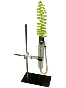 Прибор для демонстрации всасывания воды корнями - fgospostavki.ru - Ейск