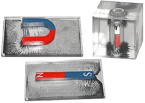 Набор для демонстрации объемных спектров постоянных магнитов - fgospostavki.ru - Ейск