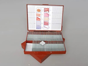 Комплект микропрепаратов "Анатомия" - fgospostavki.ru - Ейск