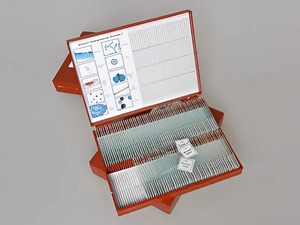 Комплект микропрепаратов "Ботаника 2" - fgospostavki.ru - Ейск