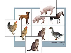 Логопедическое лото "Домашние животные" (4 планшета, 24 карточки, цветное, ламинированное) - fgospostavki.ru - Ейск