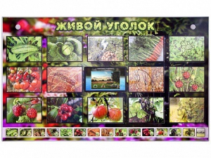 Комплект оборудования "Живой уголок" (растения) с тифлопереводом и сурдокомментариями - fgospostavki.ru - Ейск