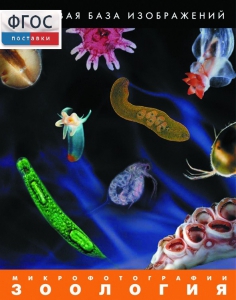 Зоология. Микрофотографии. (Цифровая база изображений) - fgospostavki.ru - Ейск