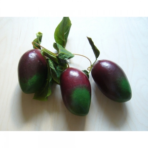 Ветка муляжей "Манго" - fgospostavki.ru - Ейск