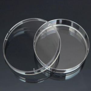 Чашка Петри стеклянная с крышкой 100х20 - fgospostavki.ru - Ейск