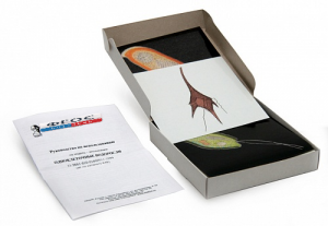 Модель-аппликация "Одноклеточные водоросли" (набор из 24 карт) - fgospostavki.ru - Ейск