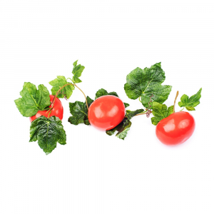 Ветка муляжей "Помидоры" - fgospostavki.ru - Ейск