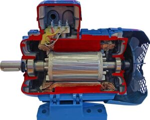 Учебная модель «Электродвигатель асинхронный в разрезе» - fgospostavki.ru - Ейск