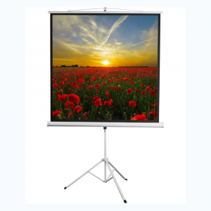 Экран на штативе DSKD-1105  - fgospostavki.ru - Ейск