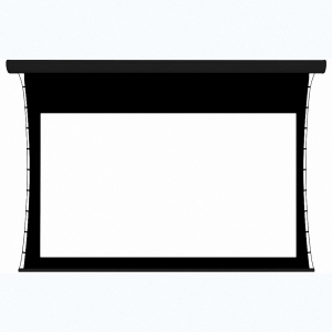 Экран настенный с электроприводом DSTPX-16915 - fgospostavki.ru - Ейск