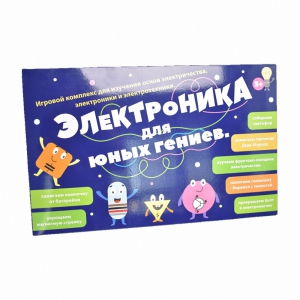 Игровой комплекс Электроника для юных гениев - fgospostavki.ru - Ейск