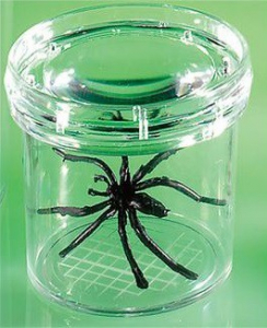 Баночка для изучения насекомых GeoSafari - fgospostavki.ru - Ейск