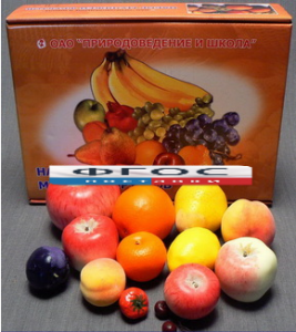 Набор муляжей фруктов (большой из 13 штук) - fgospostavki.ru - Ейск