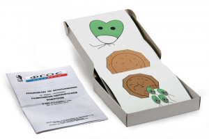 Модель-аппликация "Размножение одноклеточной водоросли" (набор из 11 карт) - fgospostavki.ru - Ейск