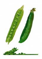 Комплект карточек "Запоминай, играй, считай" - Овощи - fgospostavki.ru - Ейск