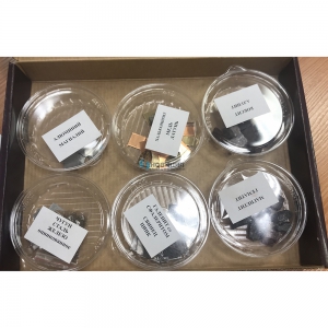 Раздаточная коллекция "Образцы полезных ископаемых и металлов" (15 видов) - fgospostavki.ru - Ейск