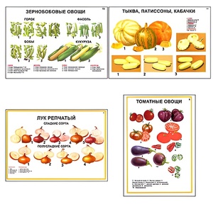 Плакаты ПРОФТЕХ "Ассортимент овощных культур" (12 пл, винил, 70х100) - fgospostavki.ru - Ейск