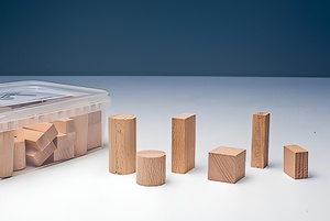 Игровой набор Фребеля "Конструктор" (50 элементов, бук, серия "Красота вокруг нас") - fgospostavki.ru - Ейск