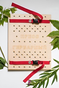 Пресс гербарный (сетка) - fgospostavki.ru - Ейск