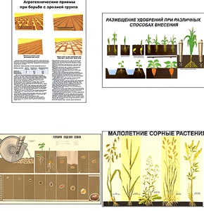 Плакаты ПРОФТЕХ "Агрономия" (5 пл, винил, 70х100) - fgospostavki.ru - Ейск