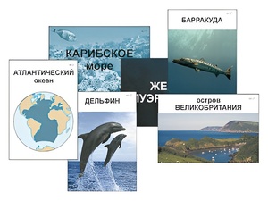 Модель-аппликация "Океаны. Знакомство" (ламинированная) - fgospostavki.ru - Ейск