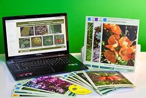 Гербарий натурально-интерактивный "Основные группы растений. Грибы. Лишайники" - fgospostavki.ru - Ейск