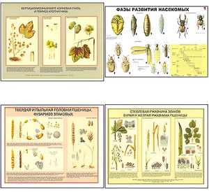 Плакаты ПРОФТЕХ "Вредители и болезни с/х культур и меры борьбы с ними" (11 пл, винил, 70х100) - fgospostavki.ru - Ейск