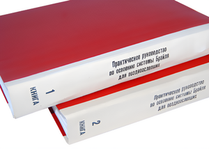 Практическое руководство по освоению системы Брайля для поздноослепших в 2-х книгах - fgospostavki.ru - Ейск