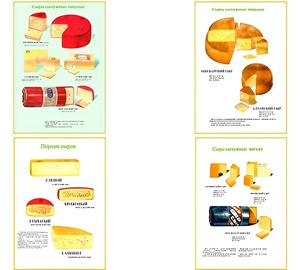 Плакаты ПРОФТЕХ "Ассортимент сыров" (9 пл, винил, 70х100) - fgospostavki.ru - Ейск